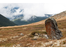 _DSC0108.jpg
