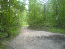 16.06.2010 10:44:06