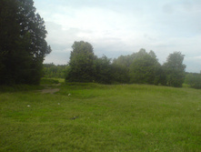 16.06.2010 11:00:52