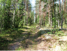 16.06.2010 12:56:53