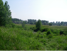 17.06.2010 16:31:00