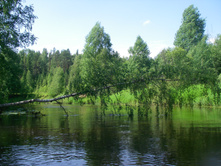 17.06.2010 16:33:52