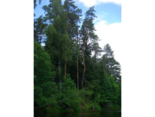 17.06.2010 16:41:16