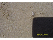 25.04.2008 9:53:52
