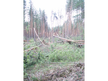 18.06.2010 8:02:31