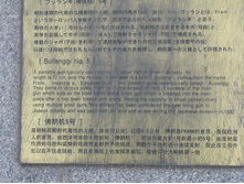 18.06.2010 16:50:54