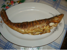 DSC02545.JPG