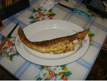 DSC02543.JPG