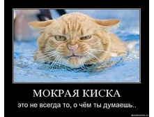 19.06.2010 19:10:38