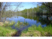 04.05.2008 13:11:54