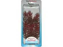����� �������� RED FOXTAIL  05132.png