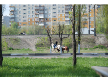 06.05.2008 14:30:04