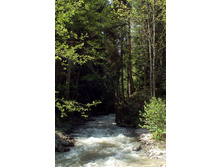 06.05.2008 19:51:52
