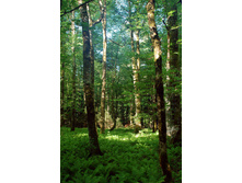06.05.2008 19:53:59
