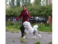 DSC_0049.jpg