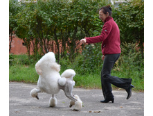 DSC_0075.jpg
