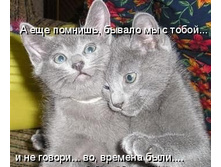 08.05.2008 9:19:42