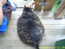 08.05.2008 9:19:49