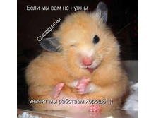 08.05.2008 9:19:55