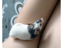 DSC03101.JPG