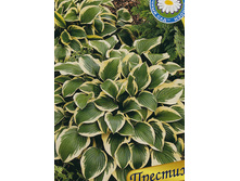 �������� 69�..jpg