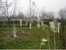 2012_11_04_007.jpg