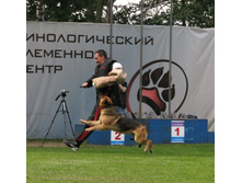 22.06.2010 8:19:03