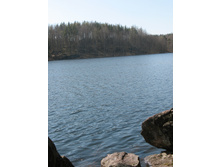 13.05.2008 12:38:02