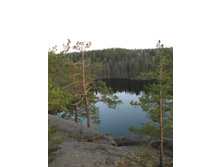 13.05.2008 12:55:58