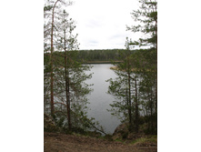13.05.2008 12:58:19