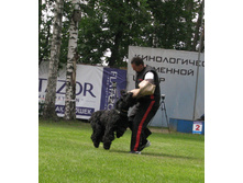 22.06.2010 22:16:38