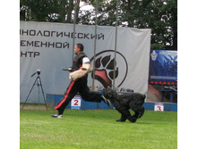 22.06.2010 22:16:51