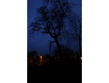 P1000278_.JPG