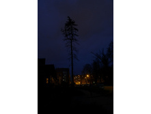 P1000290_.JPG