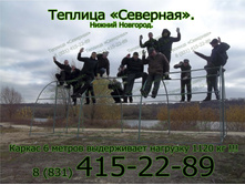 ������� �������� ������ �������� 8(831)415-22-89.jpg