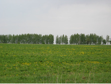 20.05.2008 21:23:57
