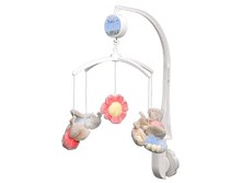 305-1-N 736,56.png