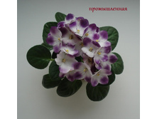 DSC05363.JPG