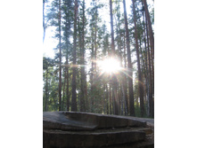 25.06.2010 15:48:37