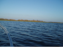PA220025.JPG