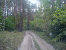 DSC09001.JPG