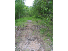 09.06.2008 1:08:04