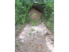 09.06.2008 1:08:43