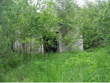 09.06.2008 1:08:50