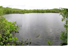 09.06.2008 1:17:09