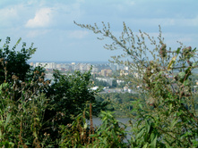 DSCF0031