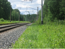 28.06.2010 15:53:18