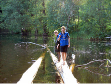 ��� ������ �� ����� ������ �����-�� �������� ������
