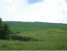 15.06.2008 14:33:31