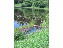 15.06.2008 23:00:08
